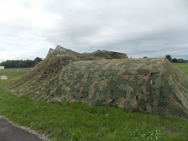 DSCN1533