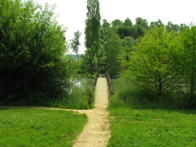 20130608_115330_img_4042