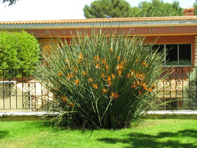 20130610_131544_img_4536