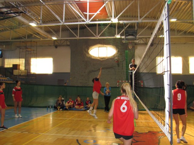 20141104_103850_IMG_0246