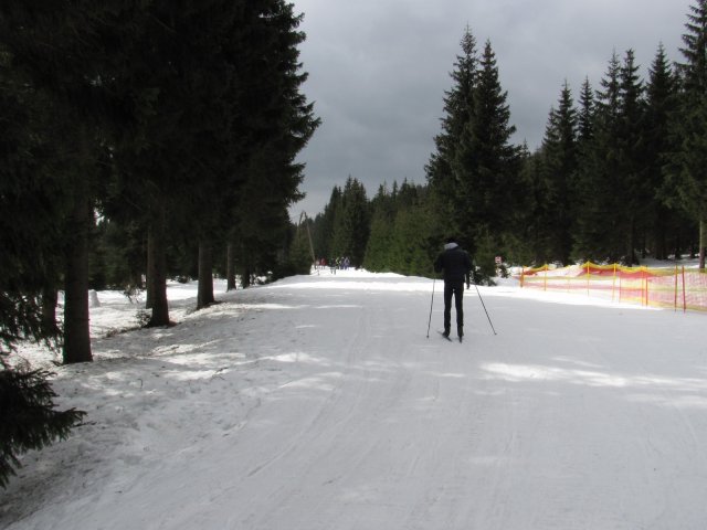 20150312_113946_img_0215