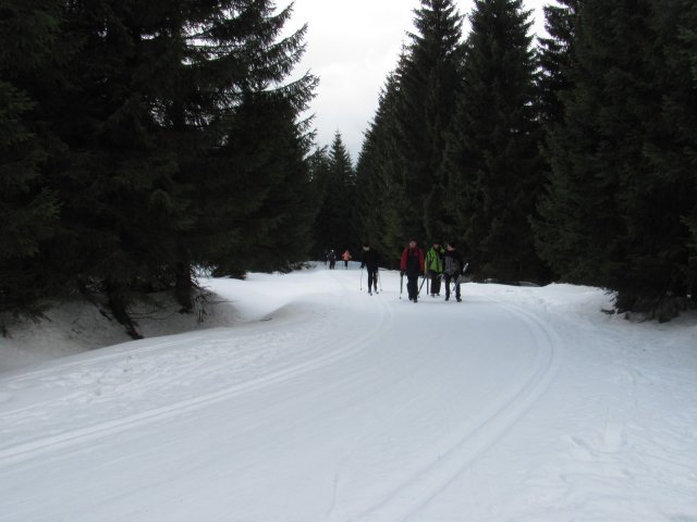 20150312_135644_img_0260