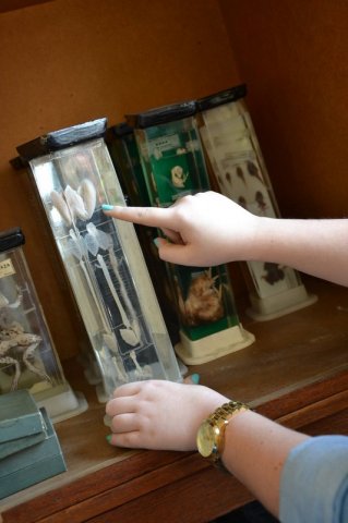 11086332_817146948356433_1877847989_o