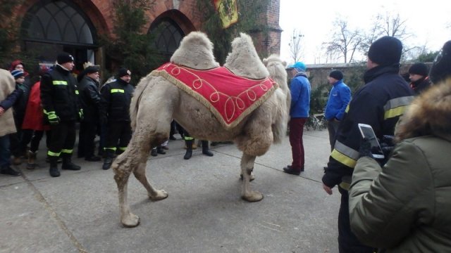 20170106_124258_P1060244