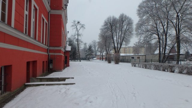 20170131_133020_P1310293