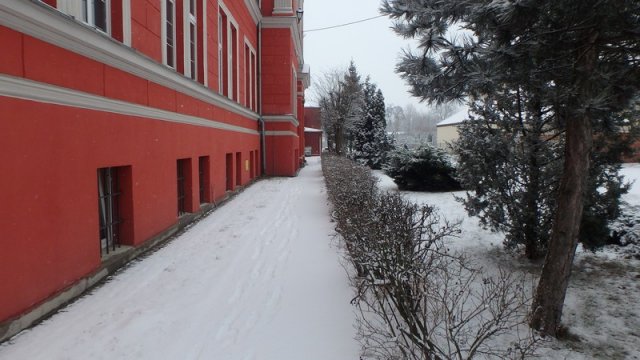 20170131_133138_P1310302