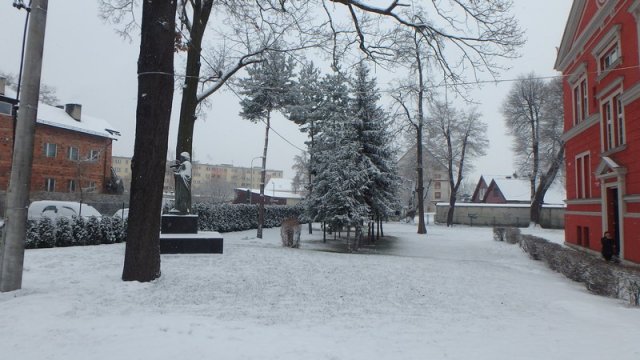 20170131_133208_P1310308