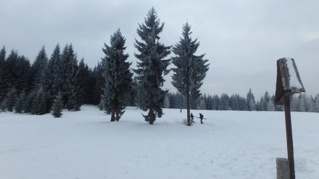 20170208_124310_P2080399