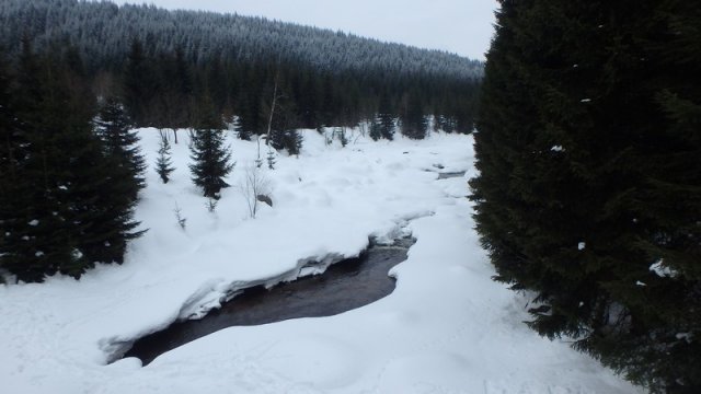 20170208_130640_P2080423