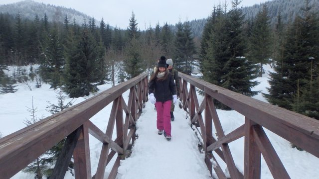 20170208_131532_P2080442