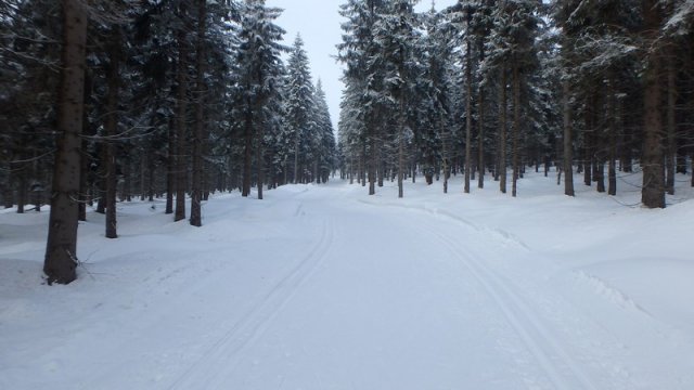 20170208_150338_P2080476