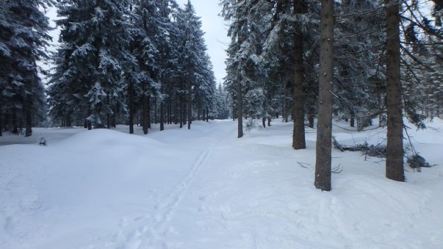 20170208_150500_P2080483